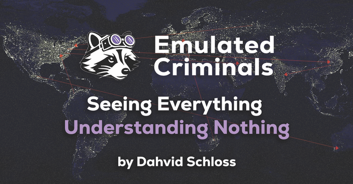 Seeing Everything, Understanding Nothing